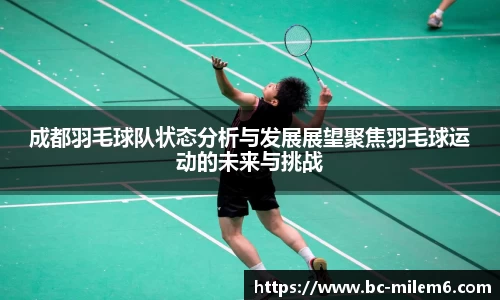 成都羽毛球队状态分析与发展展望聚焦羽毛球运动的未来与挑战